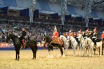 Cavalry - 00276